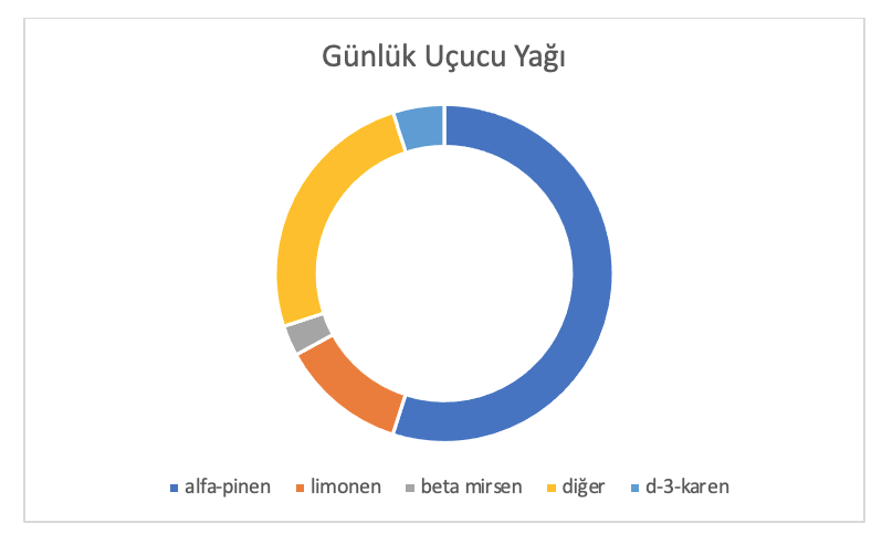 Günlük Analiz