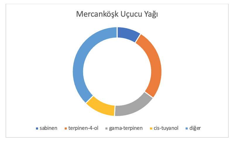 Mercanköşk Analiz