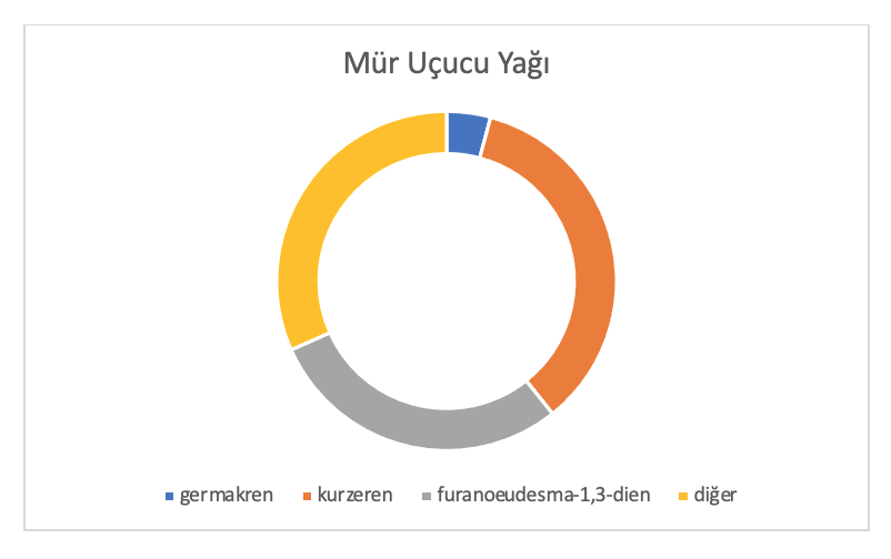 Mür Analiz