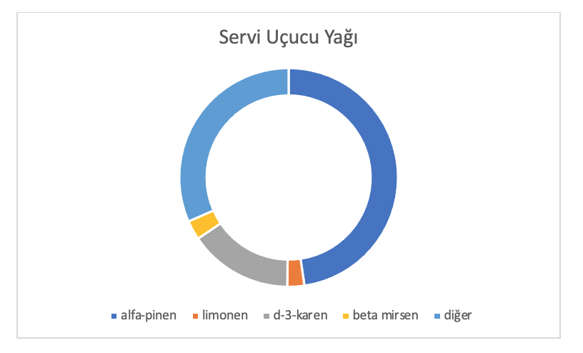 Servi Analiz